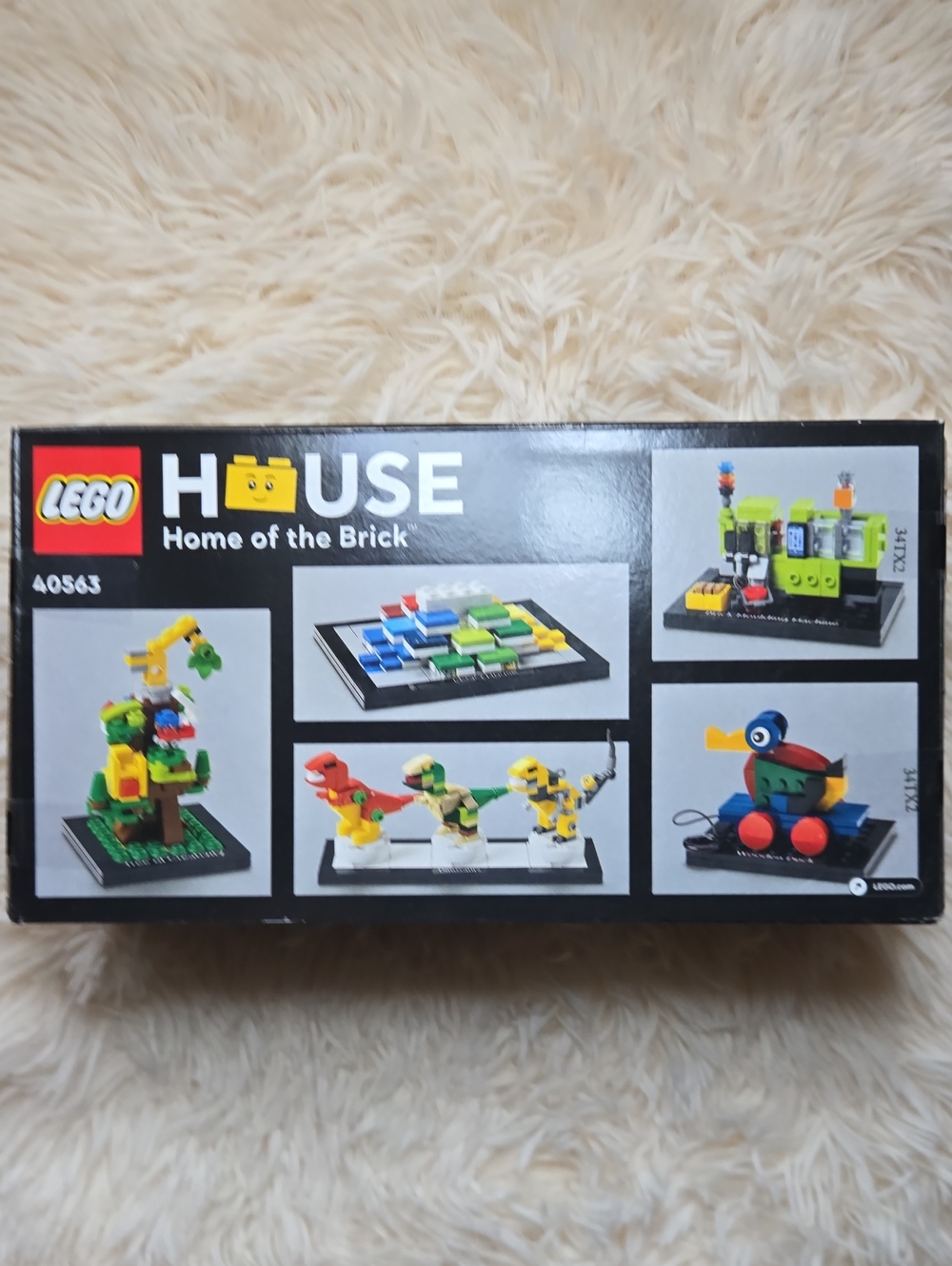 NEW LEGO House Home of the Brick Kids Toy Set - Black Box with Colorful Builds